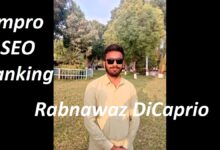 Rabnawaz DiCaprio